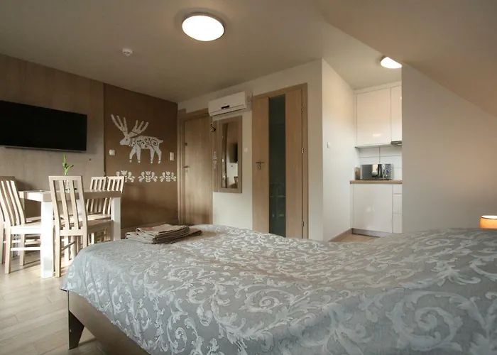 Cameleon בית אירוח